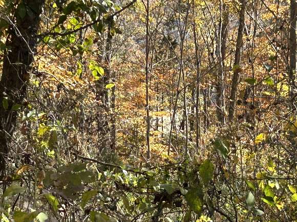 0.65 Acres of Residential Land for Sale in Somerset, Kentucky