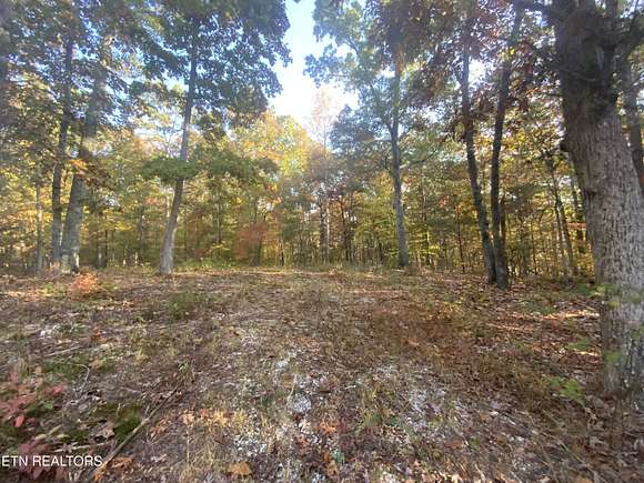 15.2 Acres of Land for Sale in Kingston, Tennessee