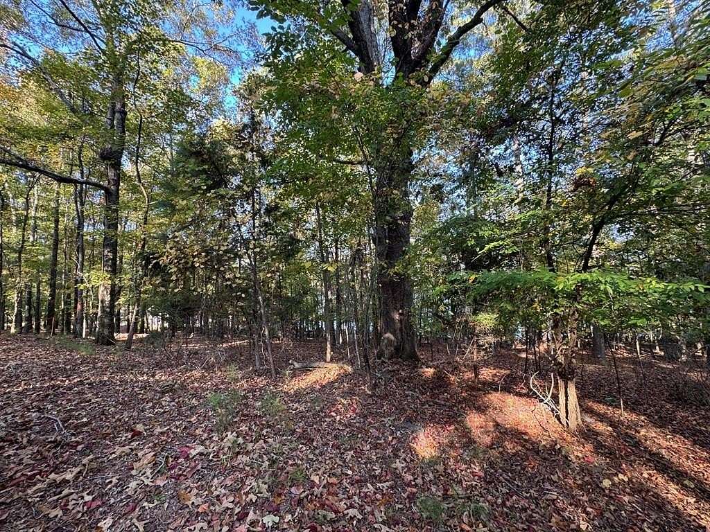 3.49 Acres of Residential Land for Sale in Pine Mountain, Georgia