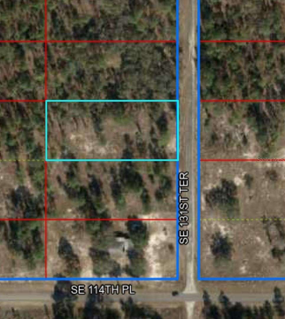 1 Acre of Residential Land for Sale in Dunnellon, Florida