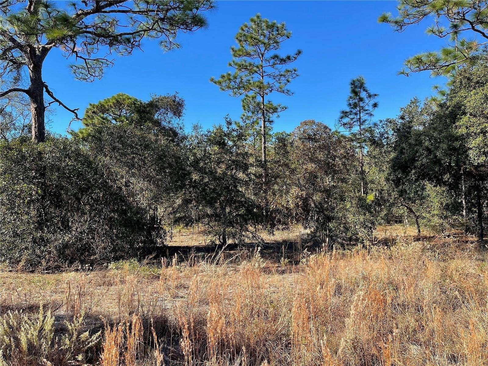 1 Acre of Residential Land for Sale in Dunnellon, Florida