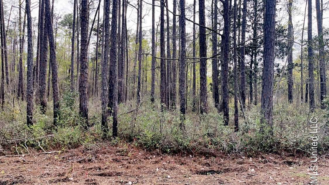 0.45 Acres of Residential Land for Sale in Ocean Springs, Mississippi