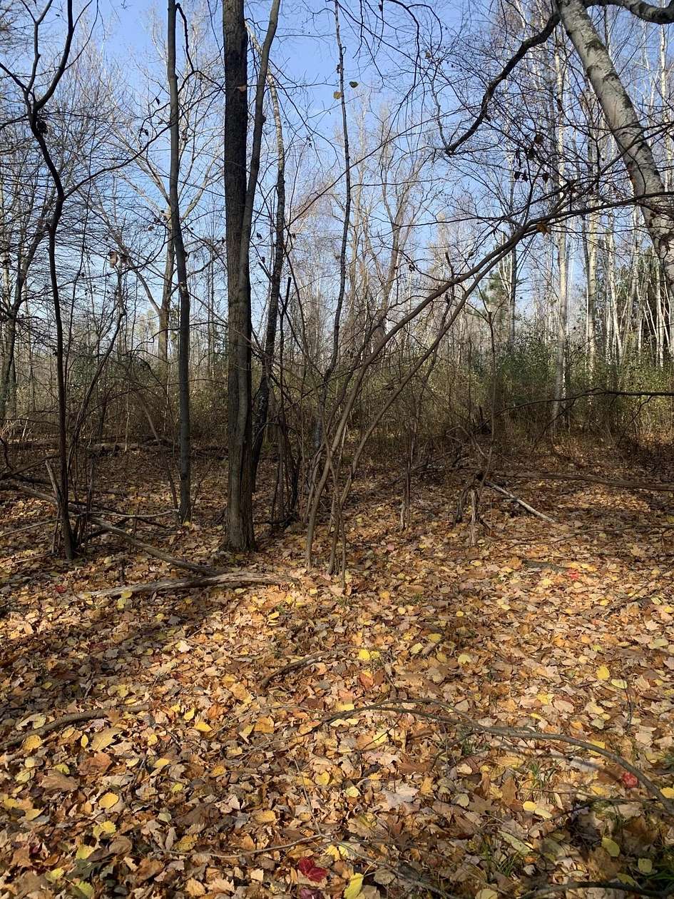 40 Acres of Recreational Land for Sale in Blanchard, Michigan