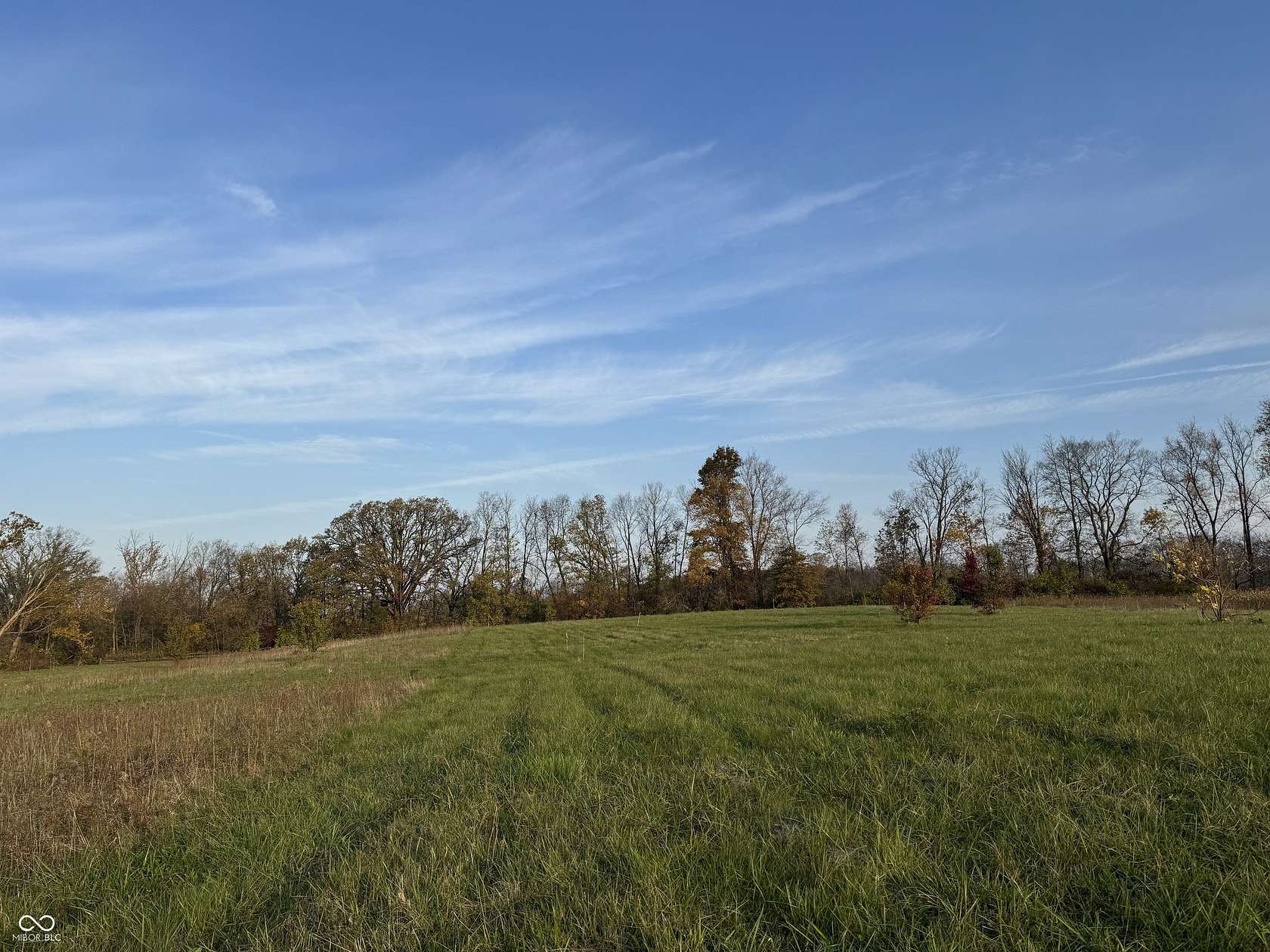 13.5 Acres of Land for Sale in Wilkinson, Indiana