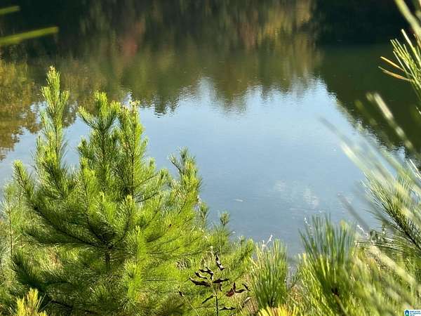1.64 Acres of Residential Land for Sale in Anniston, Alabama