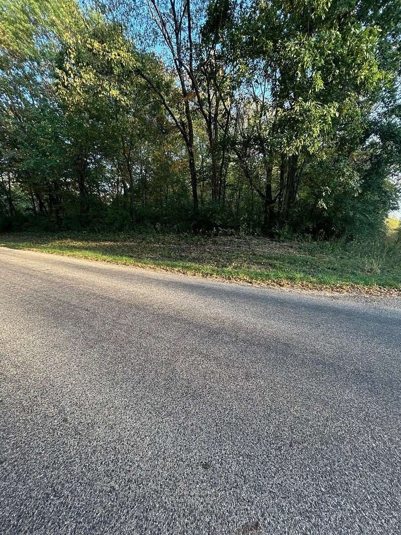 0.33 Acres of Residential Land for Sale in Putnam, Illinois