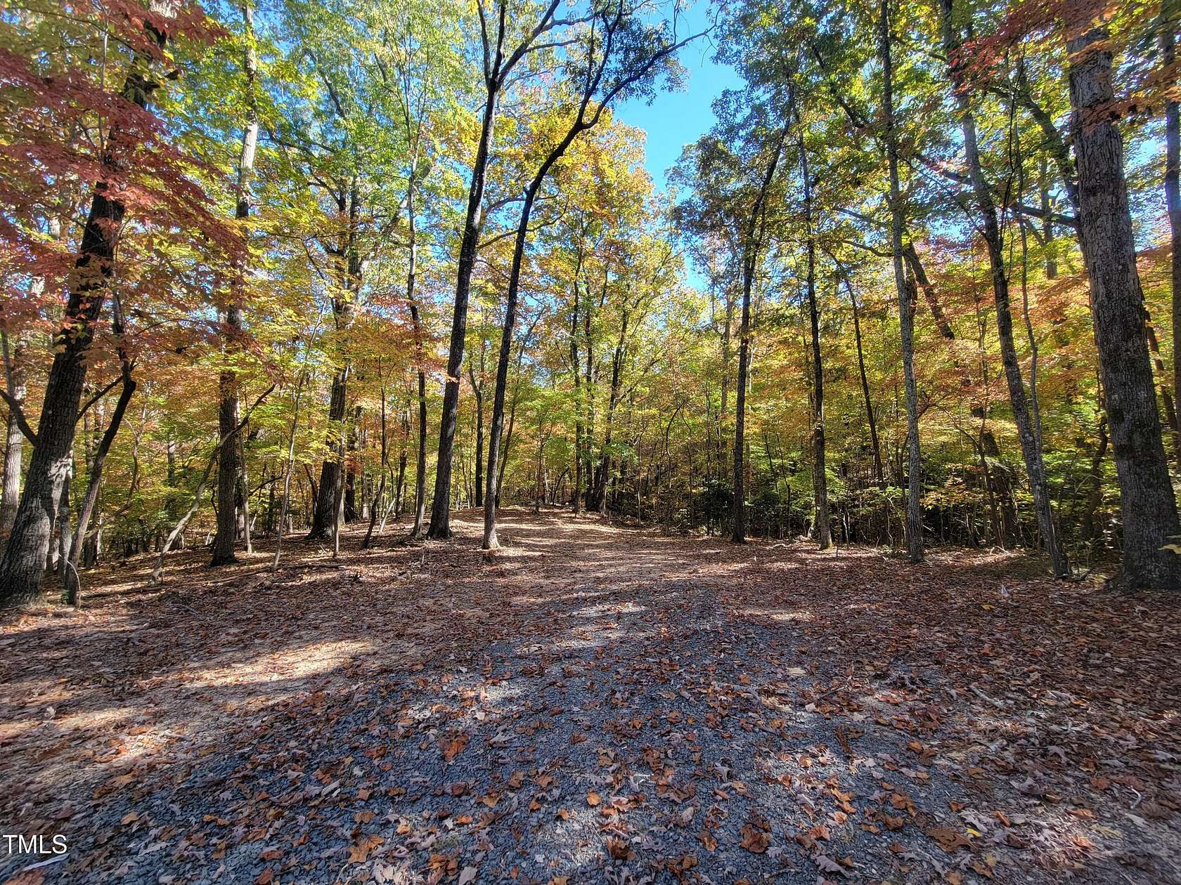 10.51 Acres of Land for Sale in Rougemont, North Carolina