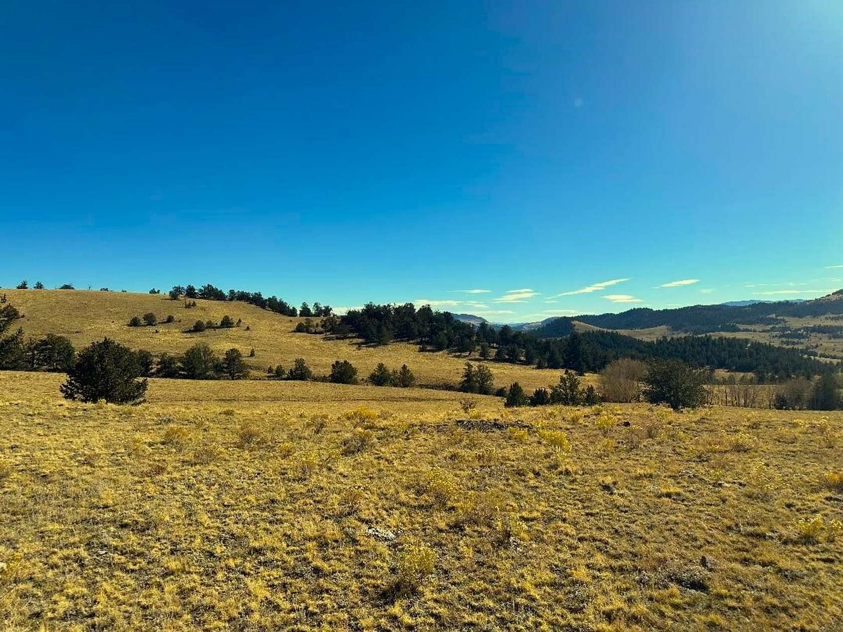 163 Acres of Land with Home for Sale in Guffey, Colorado