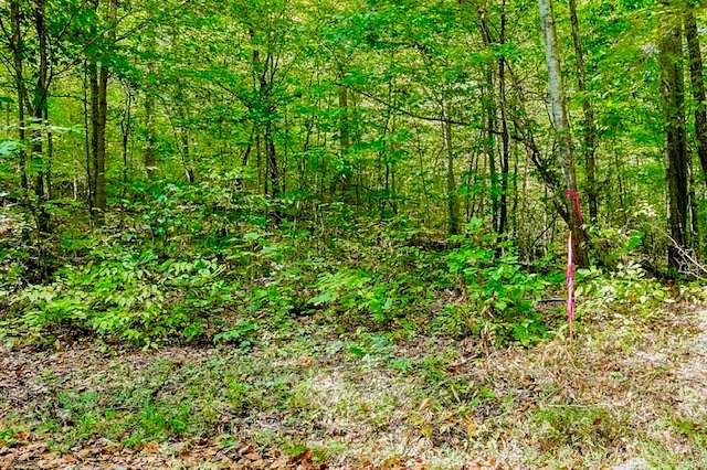 5.6 Acres of Land for Sale in Alpine, Tennessee