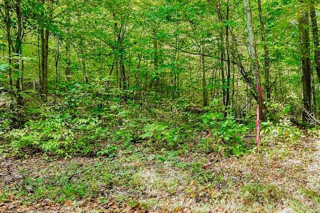 5.6 Acres of Residential Land for Sale in Alpine, Tennessee