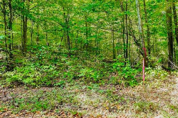 5.6 Acres of Land for Sale in Alpine, Tennessee