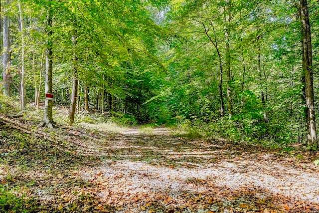 7.37 Acres of Land for Sale in Alpine, Tennessee