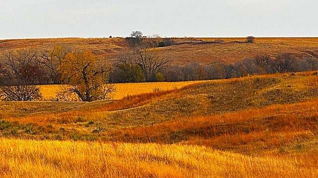 163.94 Acres of Recreational Land & Farm for Sale in Franklin, Nebraska