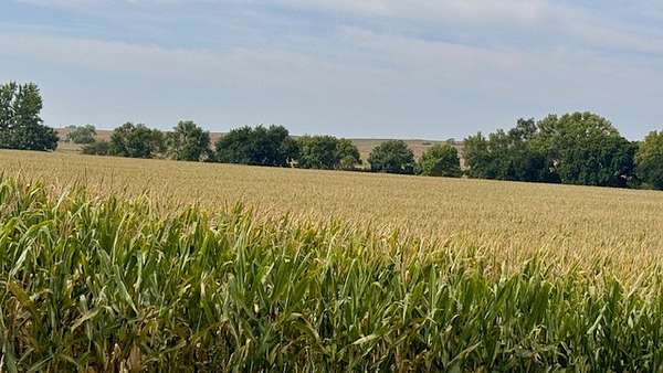 164 Acres of Recreational Land & Farm for Auction in Franklin, Nebraska