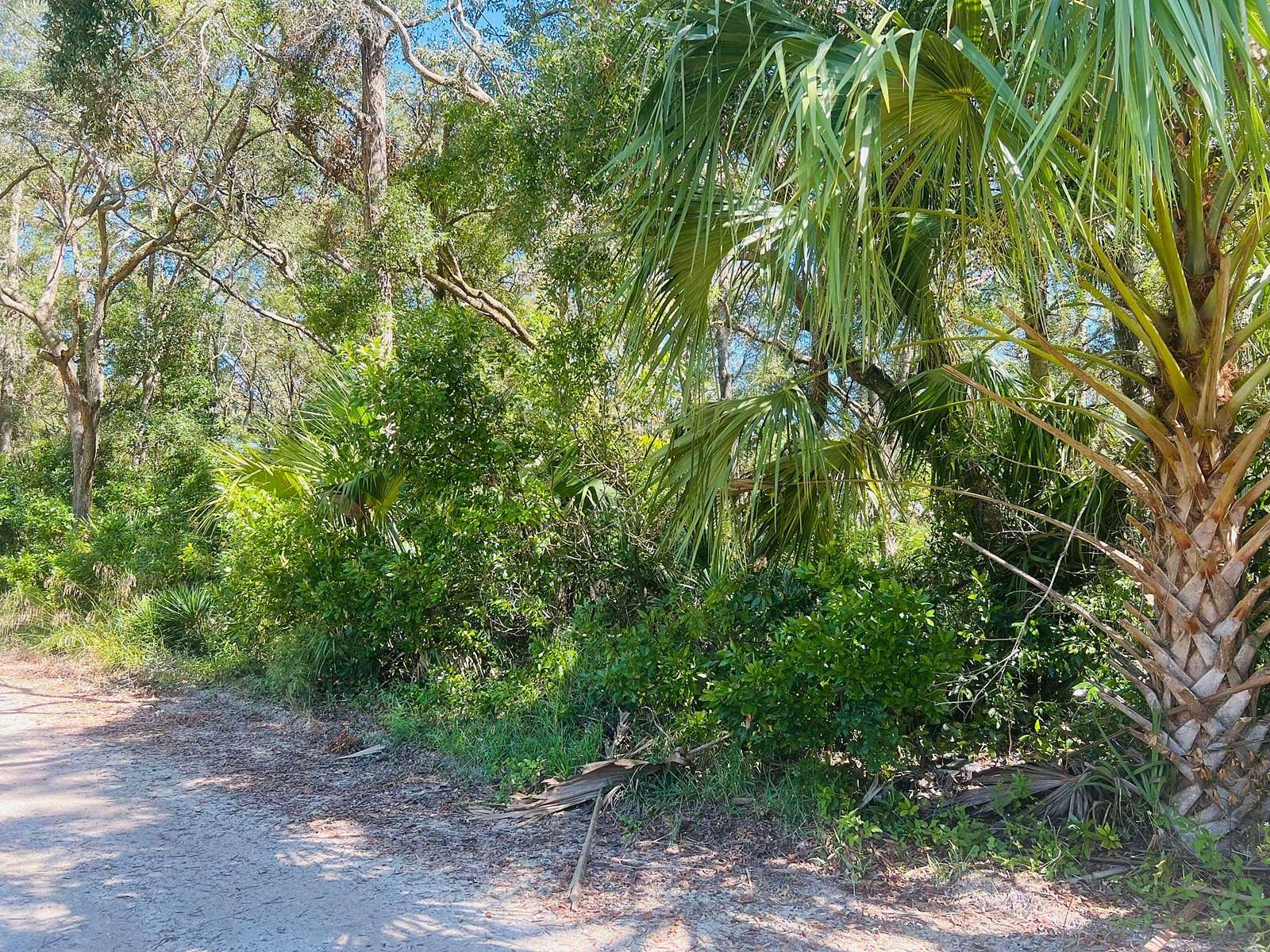 0.32 Acres of Land for Sale in Chiefland, Florida