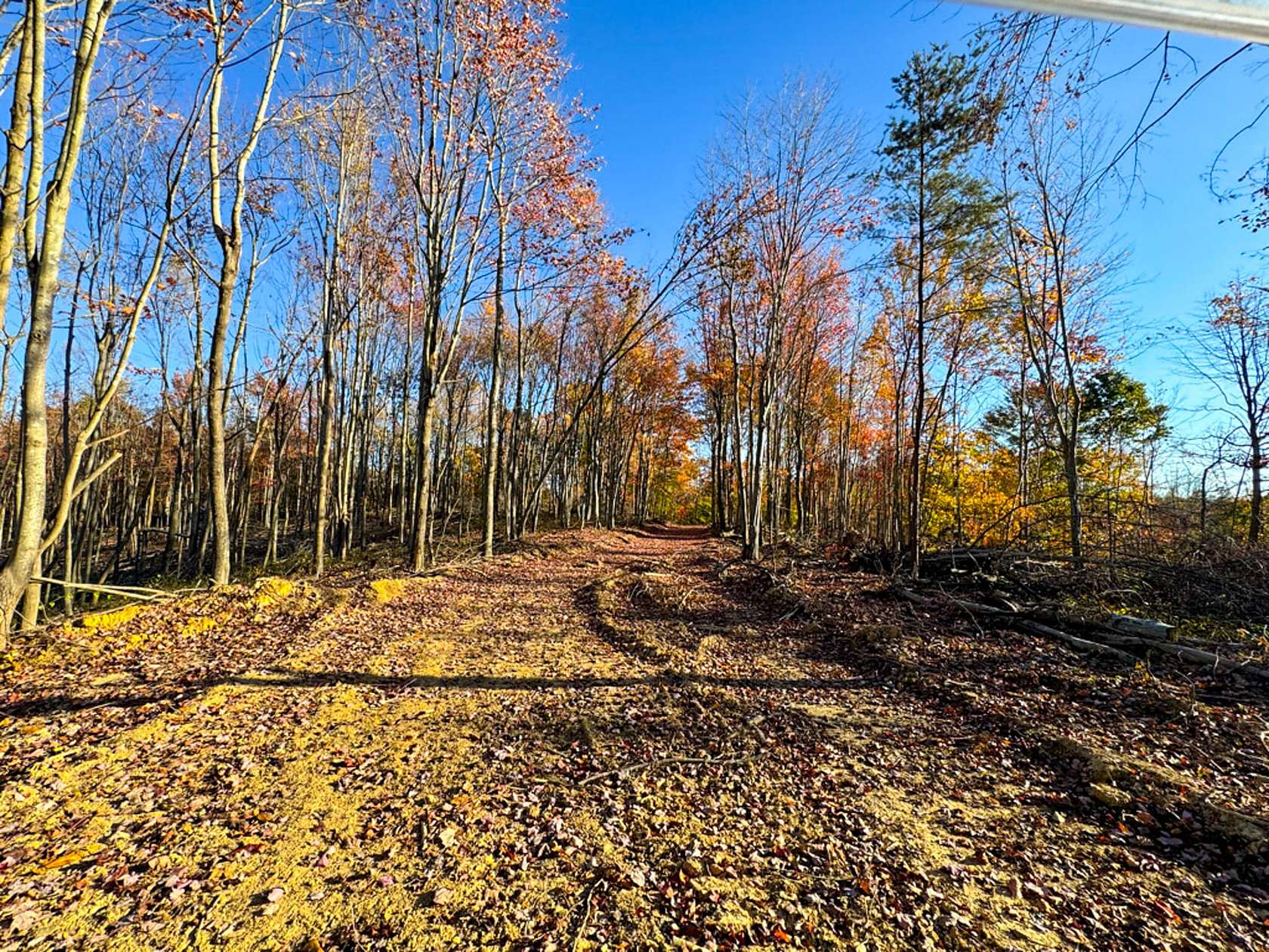 584 Acres of Recreational Land for Sale in Wheelersburg, Ohio