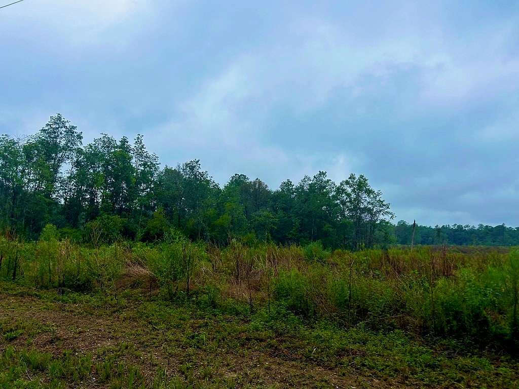 27 Acres of Land for Sale in Vancleave, Mississippi