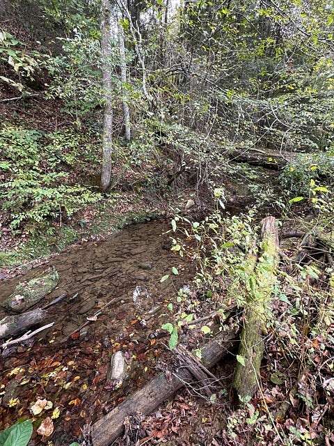 56 Acres of Recreational Land & Farm for Sale in Church Hill, Tennessee