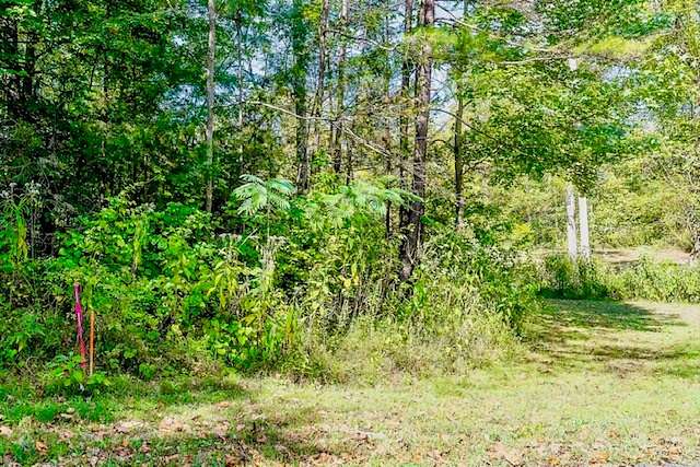 5.3 Acres of Land for Sale in Alpine, Tennessee