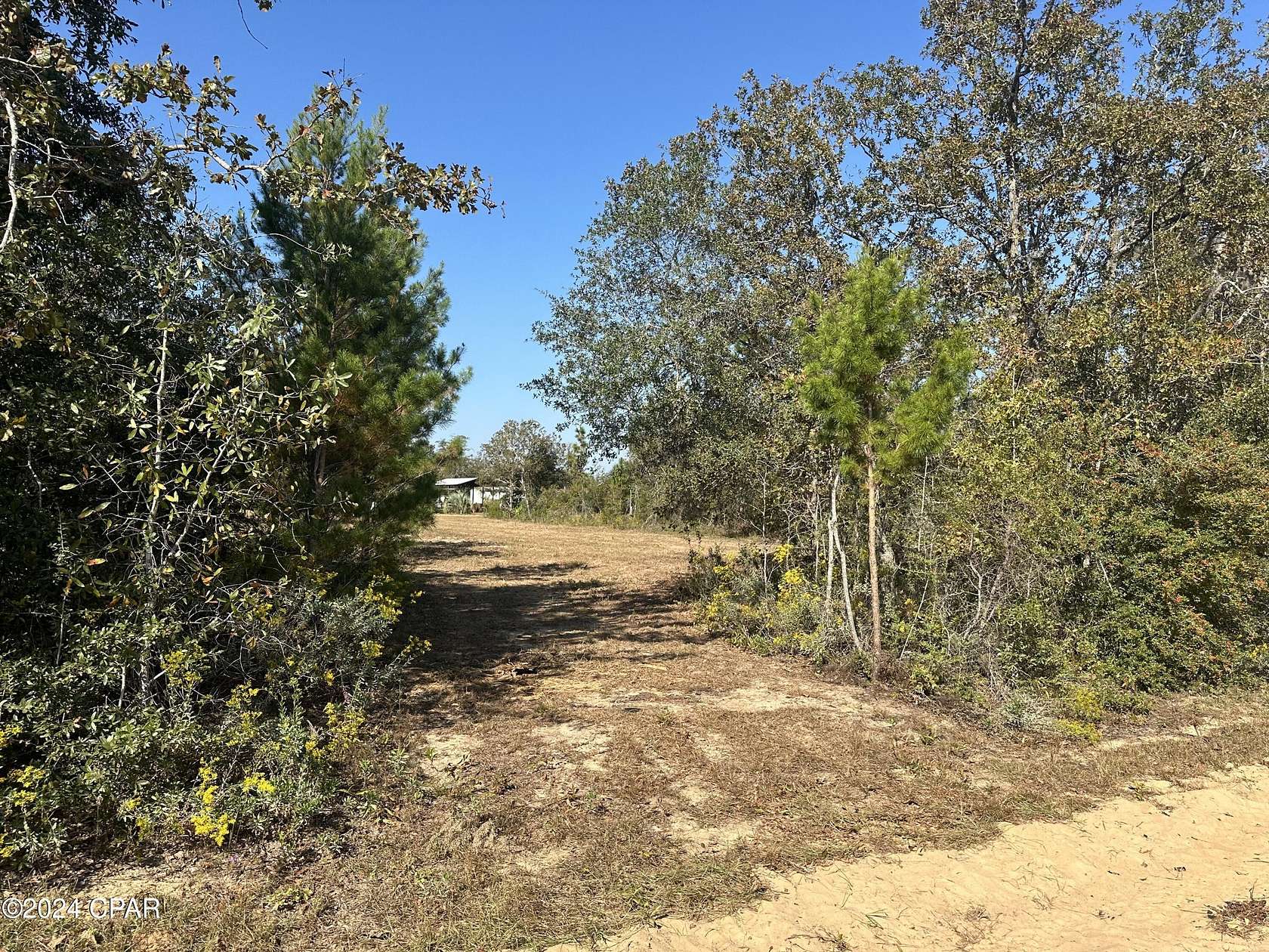 1 Acre of Residential Land for Sale in Altha, Florida