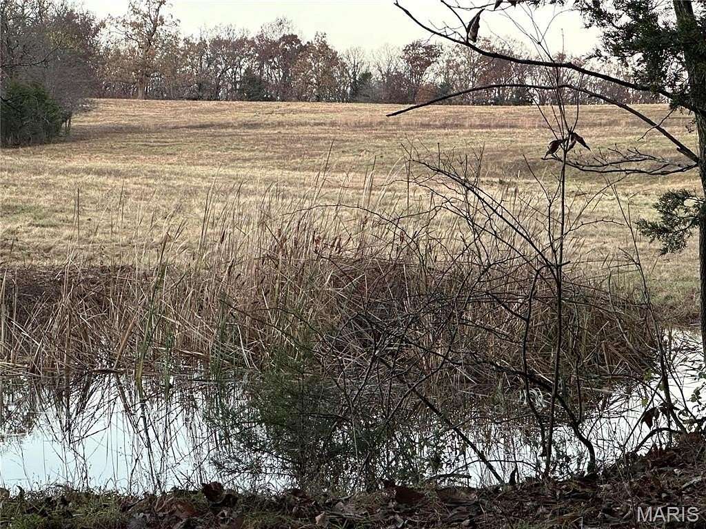 20 Acres of Agricultural Land for Sale in Rosebud, Missouri