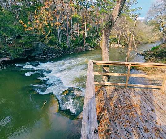 Land for Sale in Jasper, Alabama