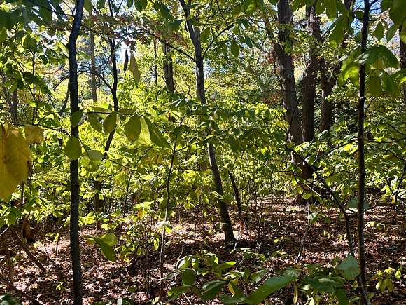 0.39 Acres of Land for Sale in Montross, Virginia