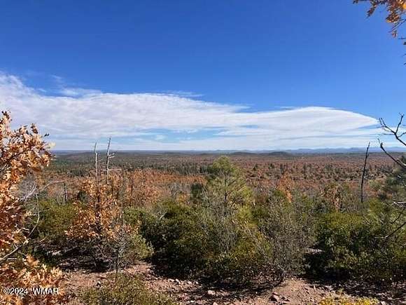 2 Acres of Residential Land for Sale in Show Low, Arizona