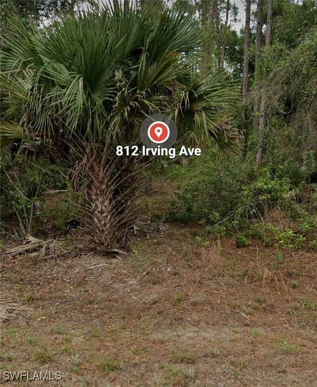 0.5 Acres of Residential Land for Sale in Lehigh Acres, Florida