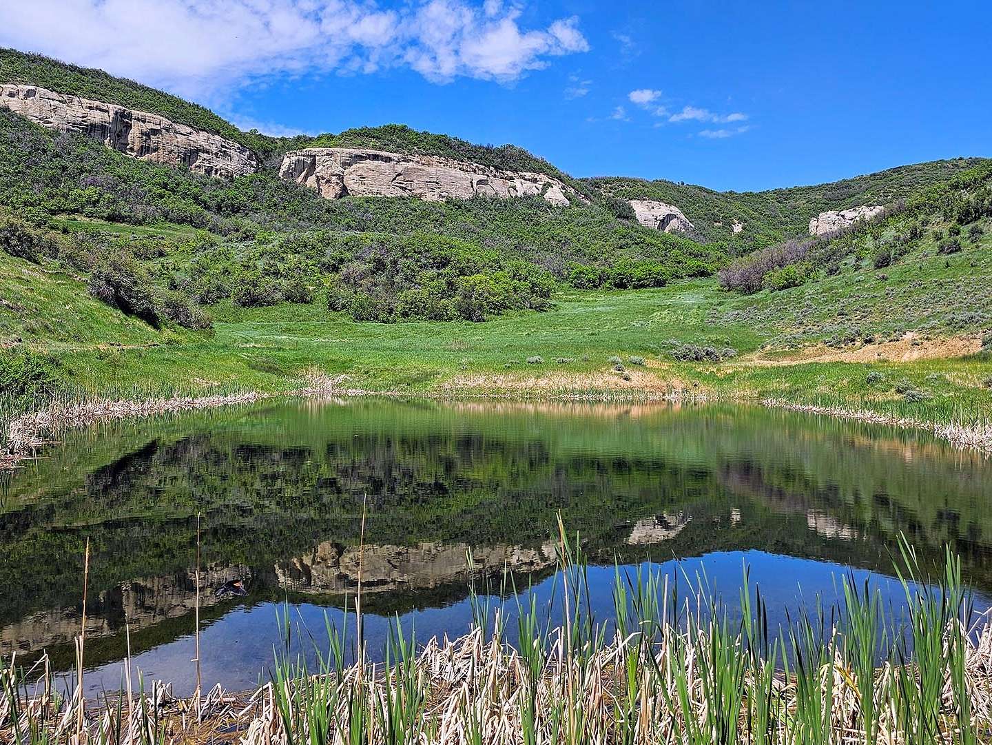 687 Acres of Recreational Land & Farm for Sale in Steamboat Springs, Colorado