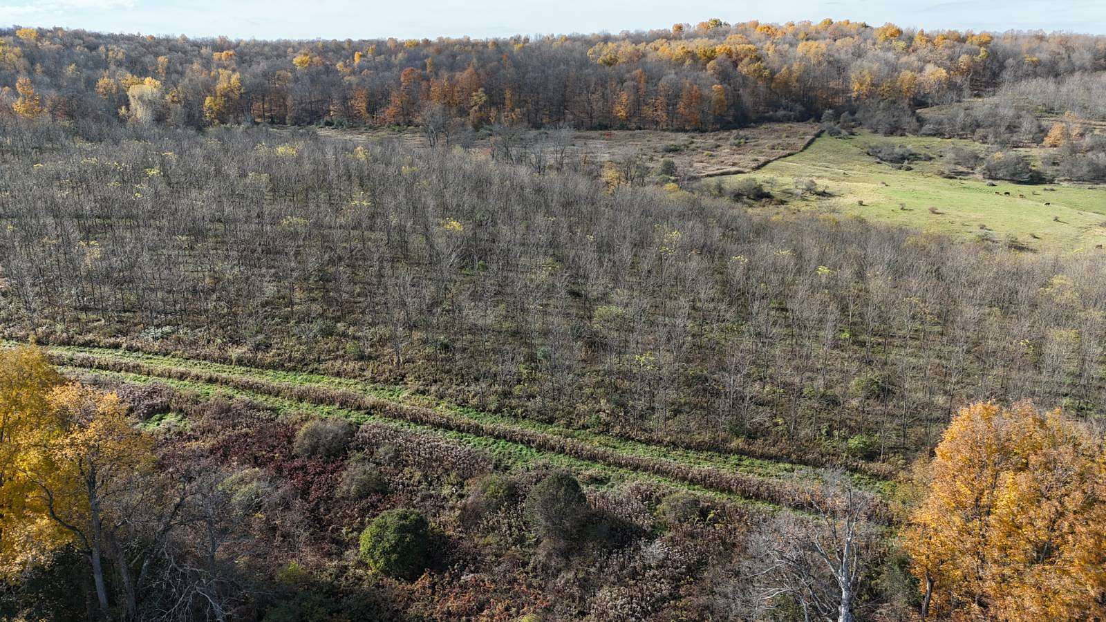 352 Acres of Recreational Land for Sale in Earlville, New York