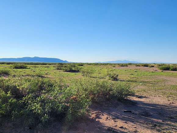 40 Acres of Land for Sale in Deming, New Mexico