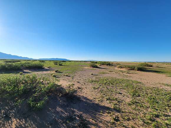 40 Acres of Land for Sale in Deming, New Mexico