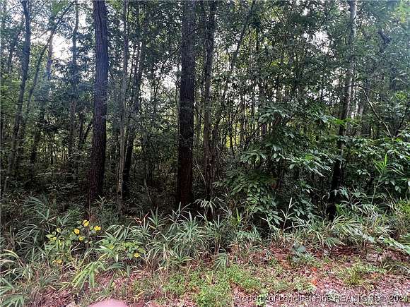 0.3 Acres of Residential Land for Sale in Pinehurst, North Carolina