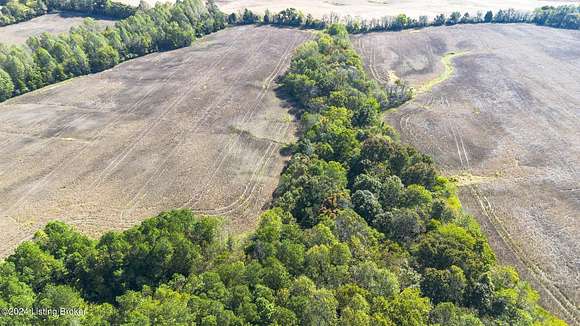 135.8 Acres of Land for Auction in McDaniels, Kentucky