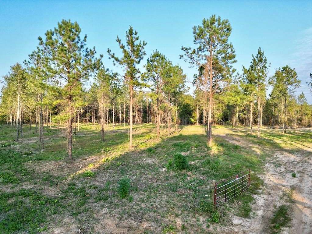 8.8 Acres of Residential Land for Sale in Banks, Alabama