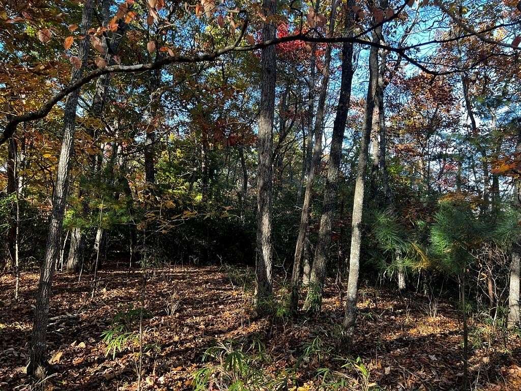 1.11 Acres of Residential Land for Sale in Franklin Township, North Carolina