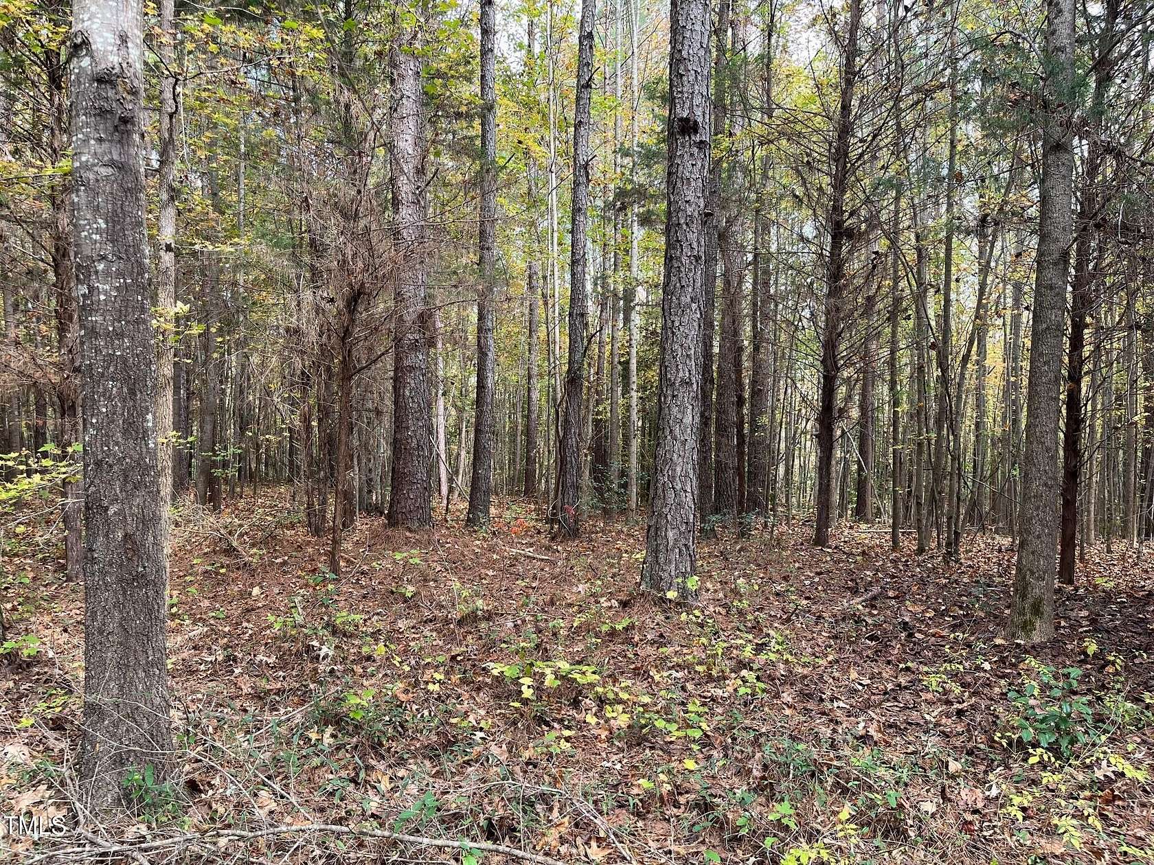 13.53 Acres of Land for Sale in Warrenton, North Carolina