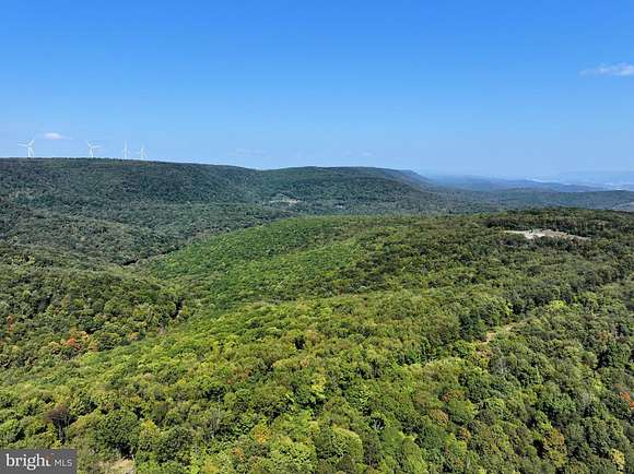 15 Acres of Land for Sale in Duncansville, Pennsylvania