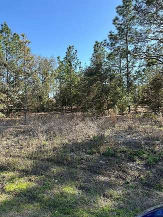 0.99 Acres of Residential Land for Sale in Ocala, Florida