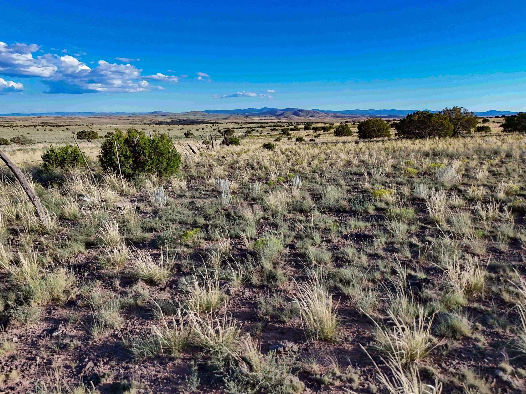 12.05 Acres of Recreational Land for Sale in Concho, Arizona