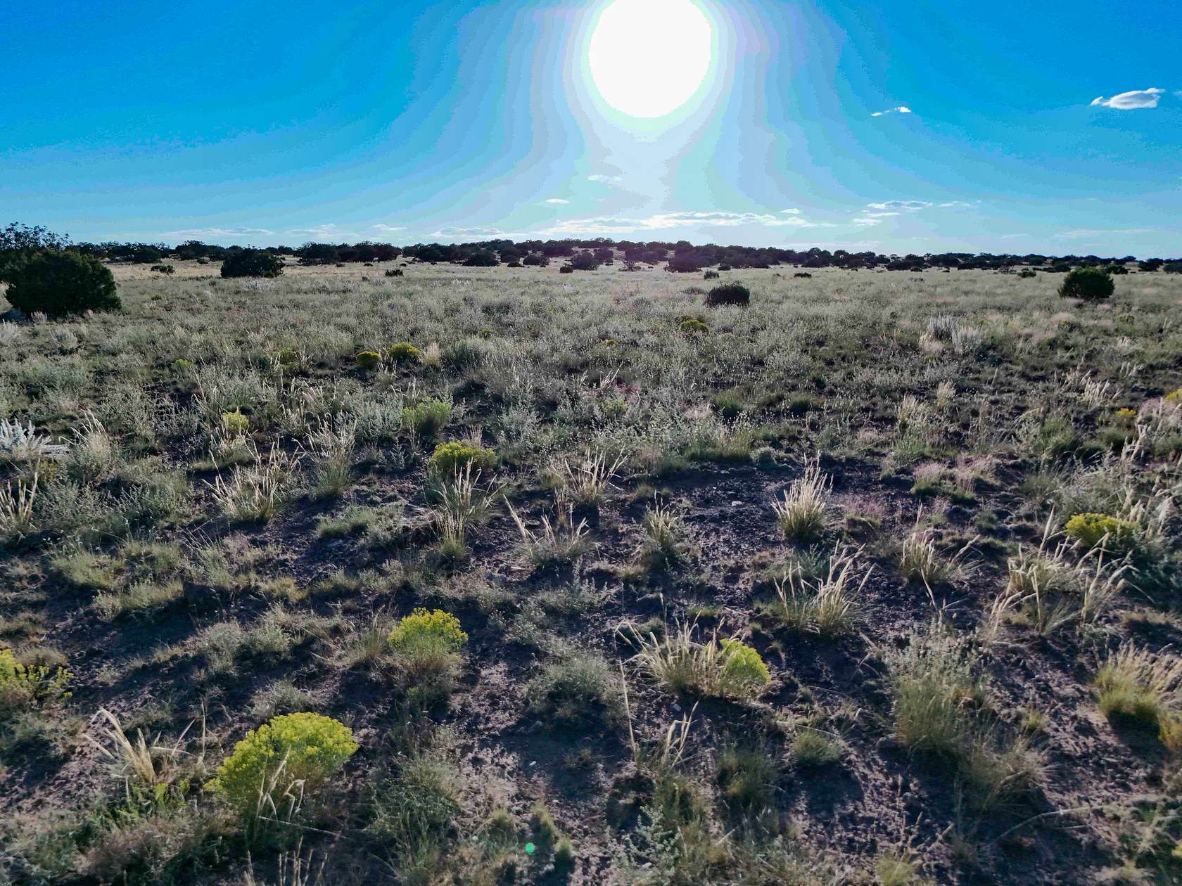 12.05 Acres of Recreational Land for Sale in Concho, Arizona