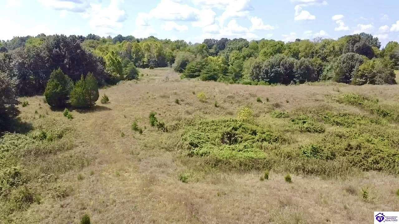 41 Acres of Land for Sale in White Mills, Kentucky