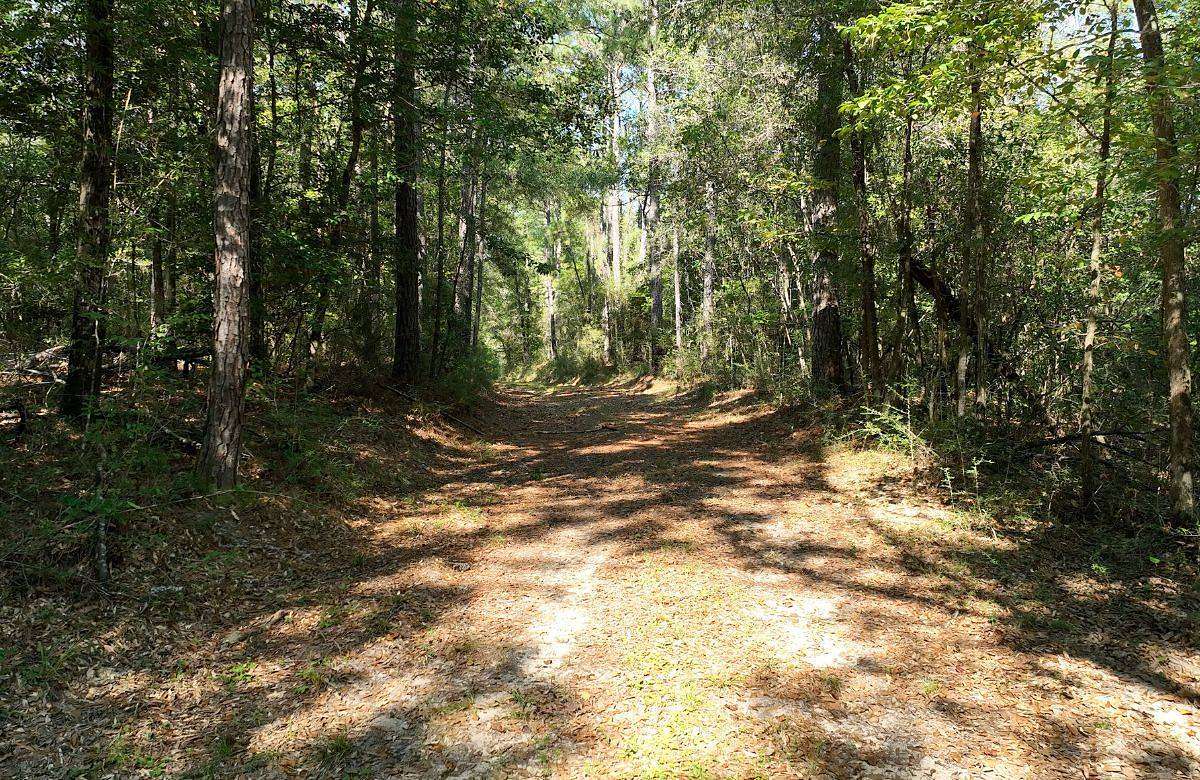 79 Acres of Recreational Land for Sale in Lucedale, Mississippi