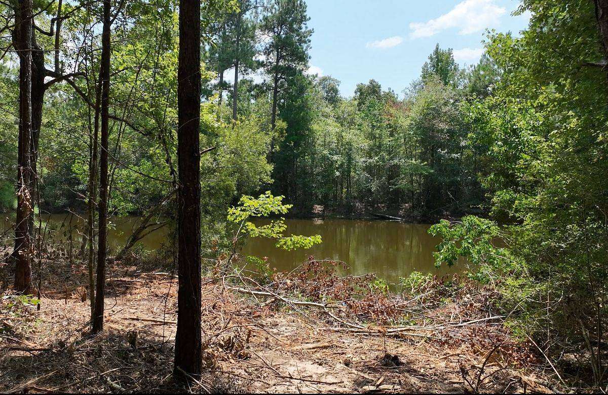 125 Acres of Recreational Land for Sale in Ellisville, Mississippi