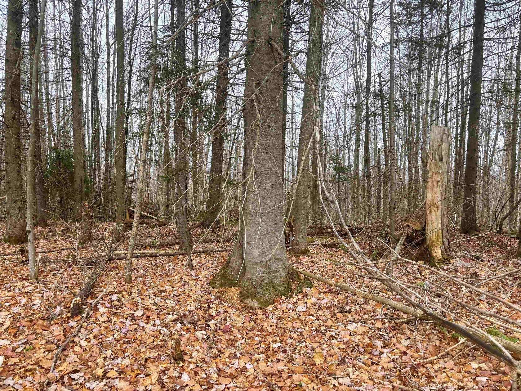 2.2 Acres of Land for Sale in Averill, Vermont