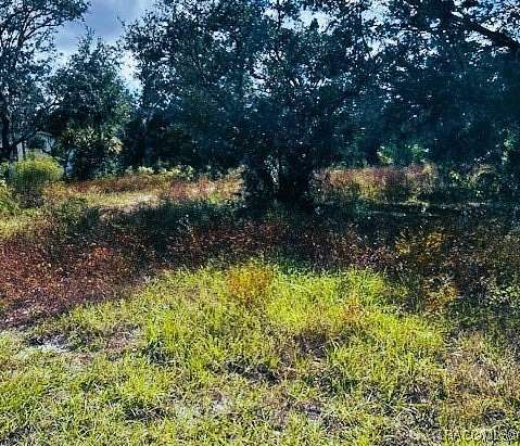 0.65 Acres of Residential Land for Sale in Homosassa, Florida