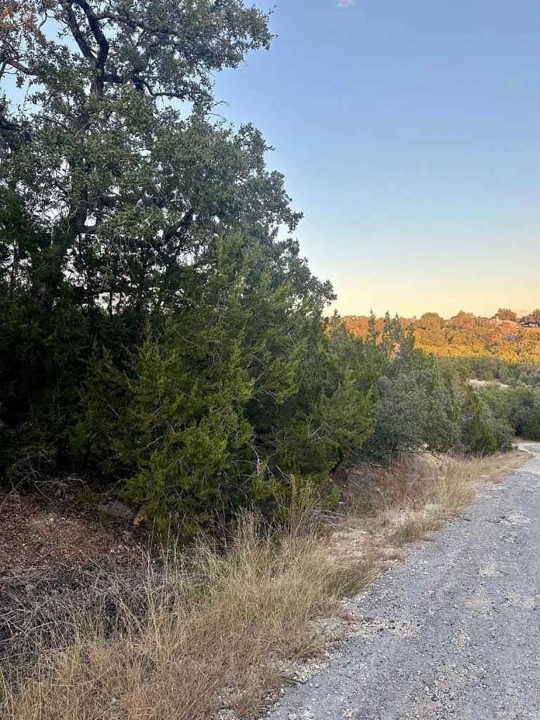 0.216 Acres of Land for Sale in Lago Vista, Texas