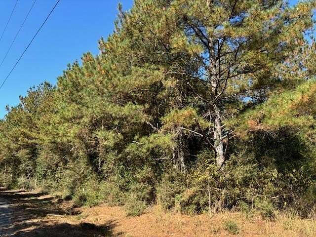 40.16 Acres of Recreational Land for Sale in Tylertown, Mississippi