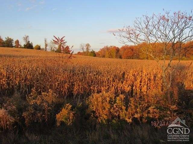 134 Acres of Land for Sale in Livingston, New York